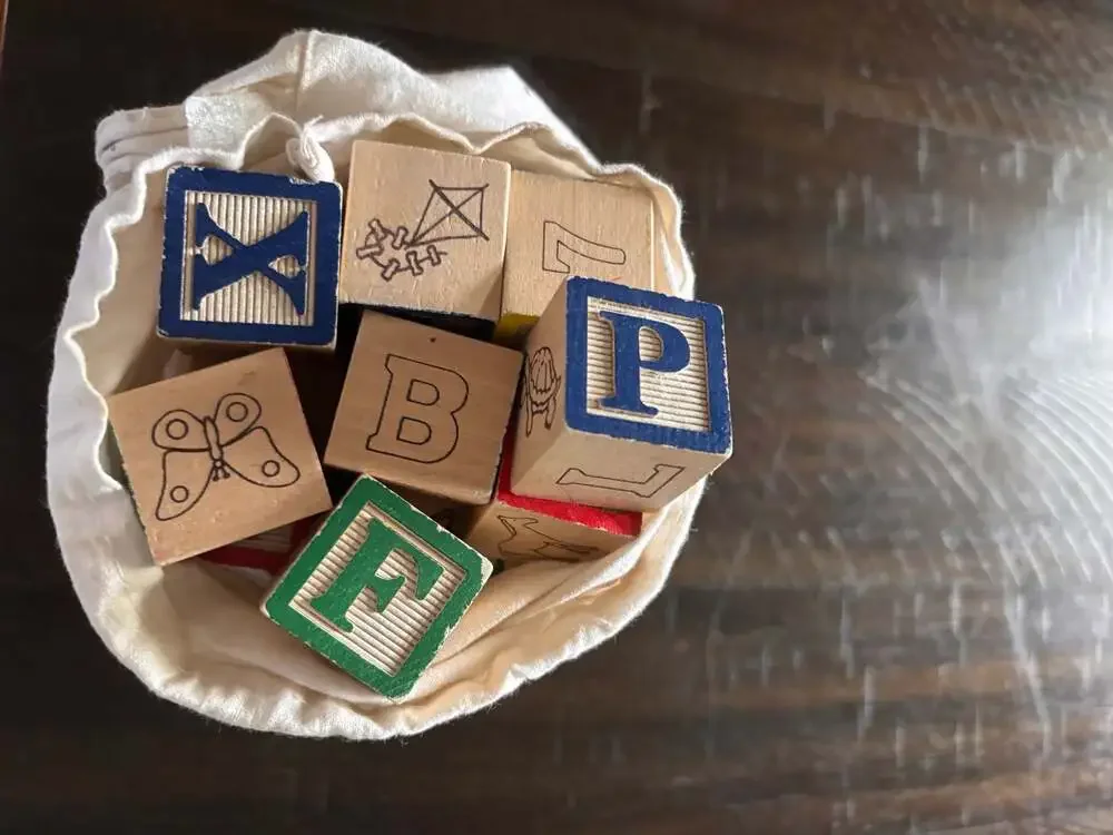 Melissa & Doug Wooden Alphabet and Picture Blocks with Storage Bag
